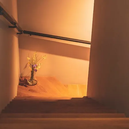 Orka Cove Penthouse & Adults Only 호텔 페티예